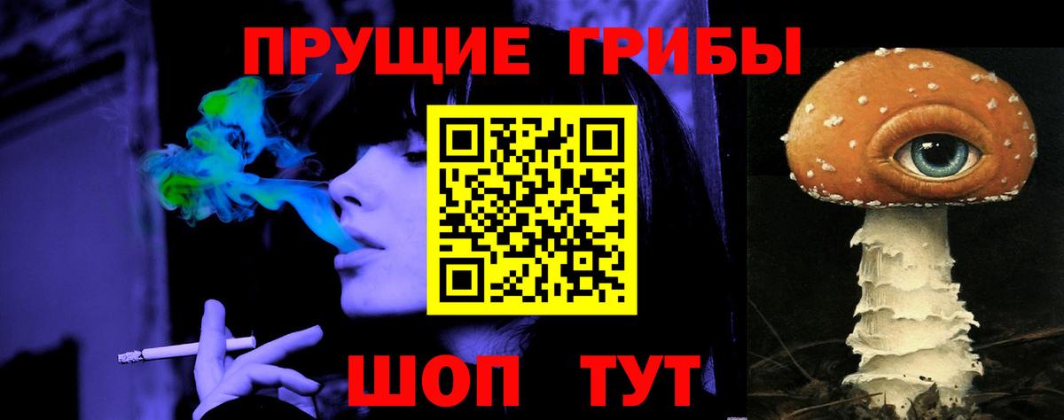 Галлюциногенные грибы прущие грибы  Вход с VPN  Дмитров 